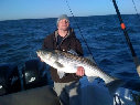 architectural_offshore_hard_copy_02_25_10008010.jpg