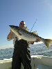 architectural_offshore_hard_copy_02_25_10008012.jpg