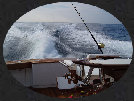architectural_offshore_hard_copy_02_25_10080006.jpg